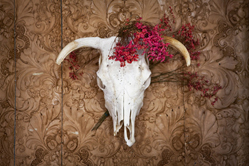 saloon wall skull